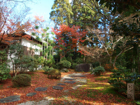 陽の当たらない場所なので残念