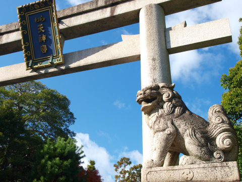 ワンちゃんと鳥居