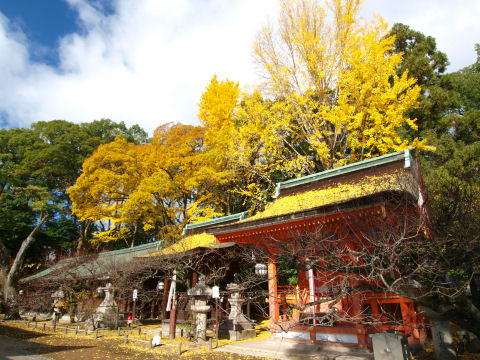 もっさり積もってる