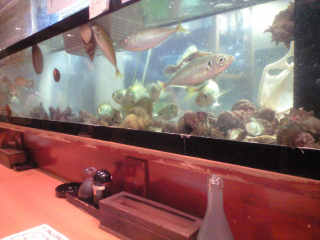 店主が自ら採ってくるとか