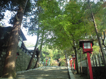 デジレフ持ってくればよかった