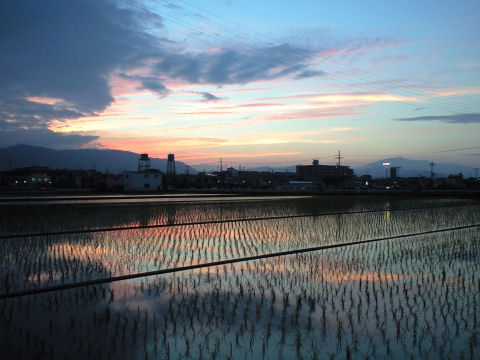 携帯電話で撮影
