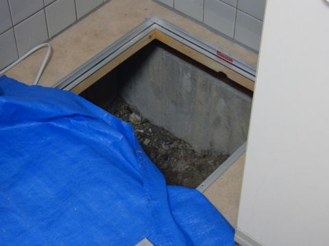 しかもフンフンシュコーシュコー言いながらずりまわっているのが聞こえる