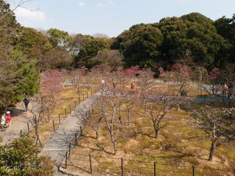 他に誰もいなかった