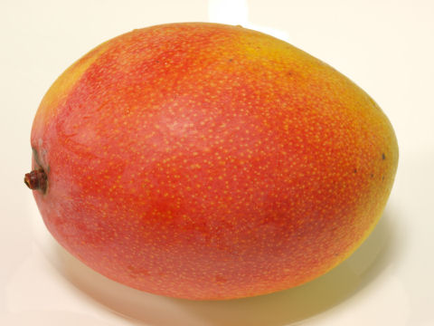 南国のフルーツ