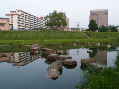 池に写り込む景色