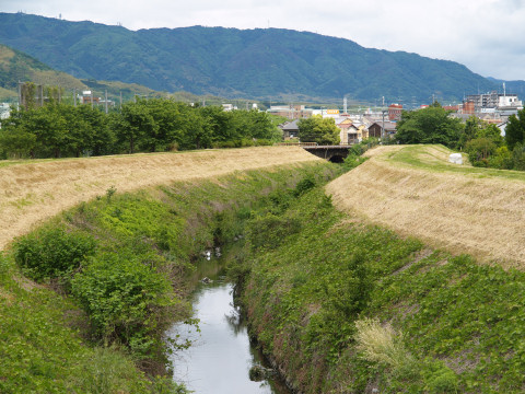 京都駅へ嗜好品を買いに行きました．コーヒー豆400gで5000円，烏龍茶葉60gで1300円，煎茶80gで2100円．単身寮住まいがする買い物じゃないなあ．烏龍茶を淹れるのって初めて．どうやって淹れるんだろ？