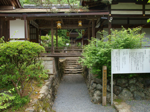 無理やり作ったからか