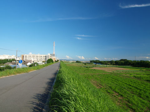 あの高い塔のあるところ