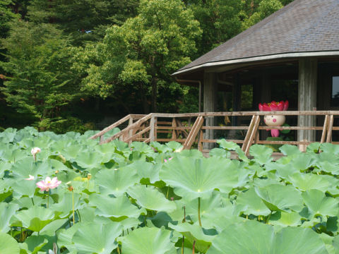 建物にいるのはマスコットキャラクターのちはなちゃん