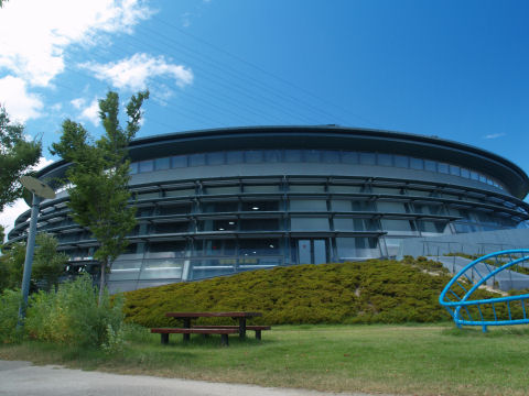 芝生の公園より