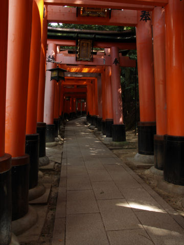 暗いので撮影は難しい