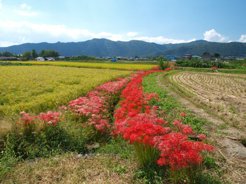天気は良いのに
