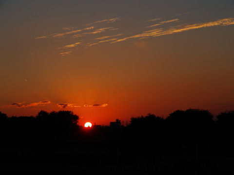 望遠レンズは持っていかなかったので標準レンズでの撮影