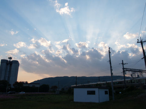 ポートレートはここで