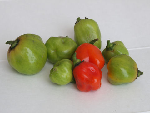 色付きも形もイマイチ