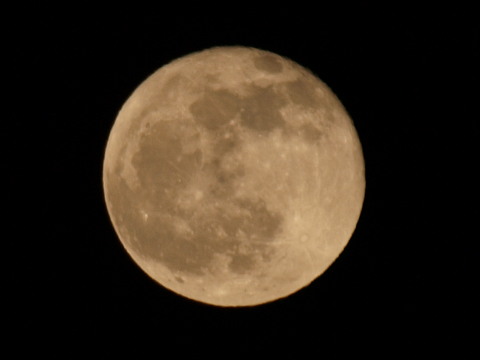 テレコン使ったのなんて数年ぶりだ