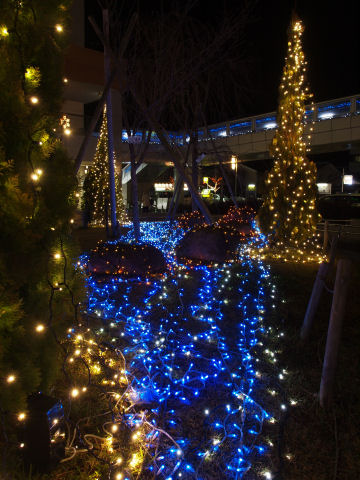歩道橋の上から撮ったらよかったかも