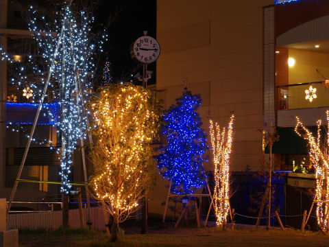 21時ごろの撮影