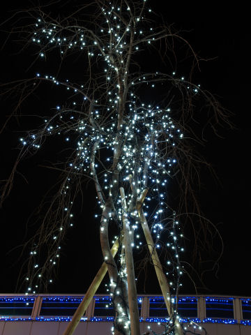 歩道橋もライトアップ