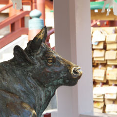 ピンが甘かった