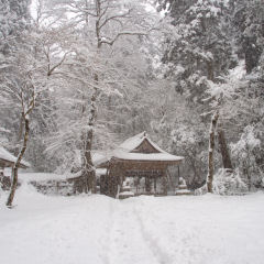 他の雪の貴船・鞍馬の写真も捨てがたかった