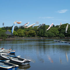 青空が気持ちいい