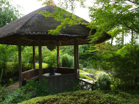 庵があるが立入禁止