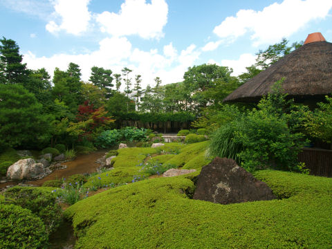 小川の上流の方