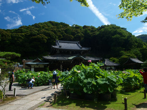 それなりに人がいる