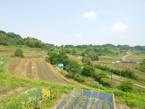 正確には稲渕に入る前に撮った写真