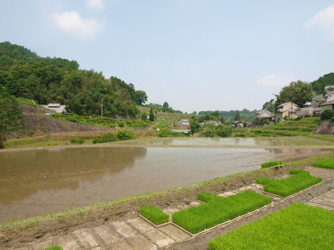 写生をしている集団あり