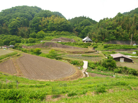 バスで観光する人はいるのだろうか