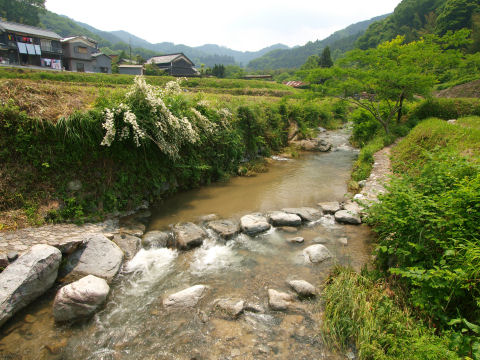 他にもいくつか