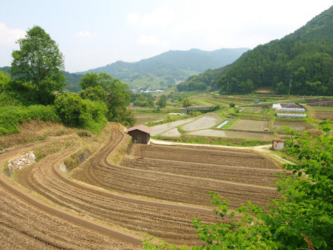 手前の田にも水を張るはず