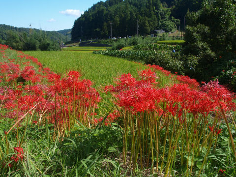 ほんといっぱいあるなあ