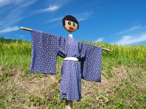 オーソドックスなかかし 目がキラキラ