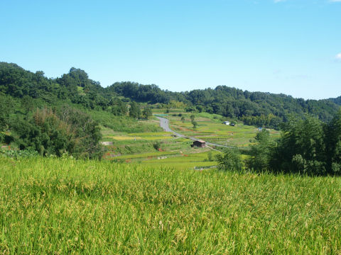 遠くに見えるのが自転車で来た道