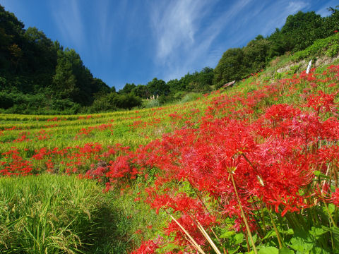今回のベストショットかな