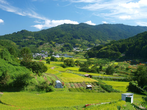 青い空に白い雲と緑
