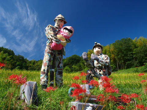 これは明らかにわかる