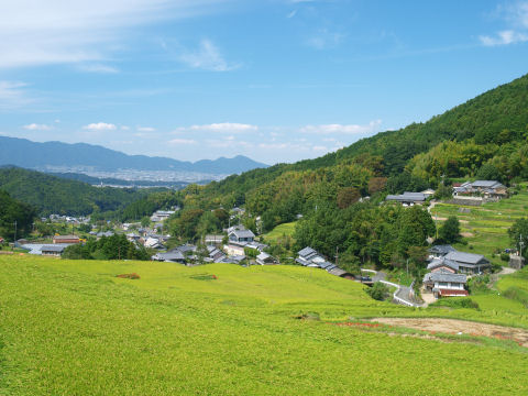 高い場所に来たなあ
