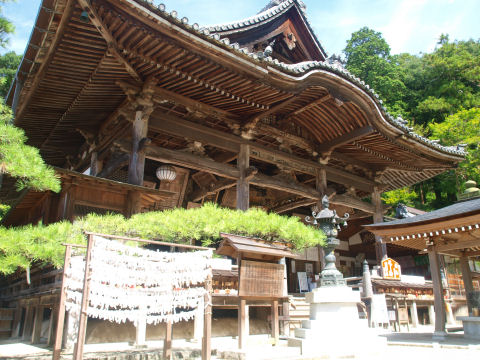 けっこうでかい