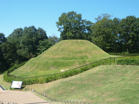 ゴルフ場みたいだ