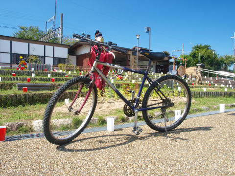 当然かごはない