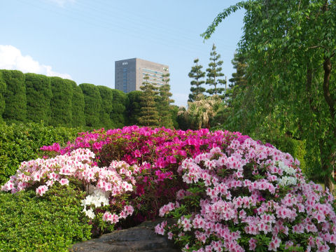 京都は意外に製造会社が多い