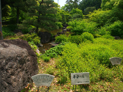 何度も撮ってる気がする