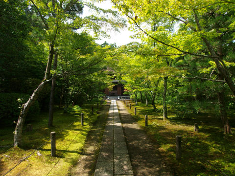 門をくぐったところ