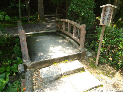 こっこれは・・・！