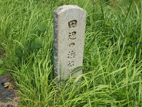 草ぼうぼうで下まで見えない